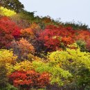 붉은 빛을 토해내는 적상(赤裳)의 가을 이미지