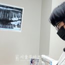 산내서울치과의원 네이버블로그