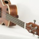 톡톡 우쿨렐레 이미지