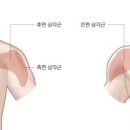 스테디 휘트니스(안일점) 이미지