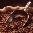 오일하우스 이미지