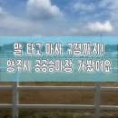 마장어린이집 | 양주시 공공승마장 방문기｜아이 승마체험 후기