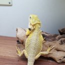 스토리유럽