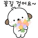 한천초교 병설유치원 이미지