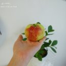와룡농원
