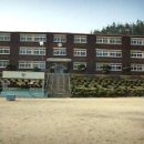 소달초등학교 벚꽃개화 이미지