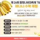 나비노래광장 이미지