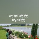 하담스파펜션 이미지