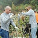 효촌2리 이미지