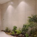 도곡타워정형외과의원 이미지