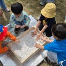 ㈜GR바이오 이미지