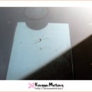 부산자동차유리복원 - 사하구 낙동대로 542 | 부산자동차유리복원