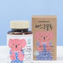 아임프로브