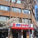 양재대로62길 | 가락시장 곱창 맛집 미당한우곱창, 벚꽃길에서 즐긴 한우 곱창과 뭉티기 솔직 후기 🌸