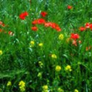 창문가로등 이미지