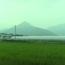 수북농협주유소 이미지