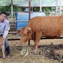 쌍둥이축산 이미지