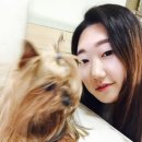 SUNNYNE 이미지