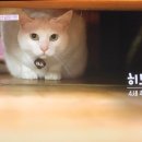 산골공작소 이미지