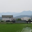 창녕군영산면월령보건진료소 이미지