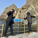 독도갈매기 | 독도입도 하루만에 성공!! 포항→울릉도→독도 배타고 다녀온 후기 + 명예주민증 발급 방법