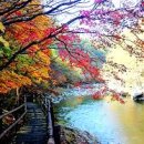 원평소머리국밥 이미지