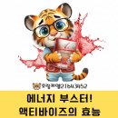 에너지부스터