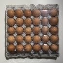 한촌농장 이미지