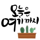 꼬꼬앤쿡 이미지