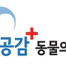 맥스동물병원 이미지