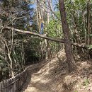 입석경로당 | 2026.2.6.(금), 다산 정약용의 혼이 깃든 만덕산