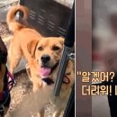 수컷 이미지
