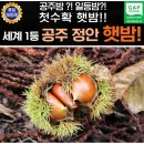 에바다