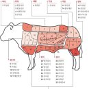 앵매도리한우 이미지
