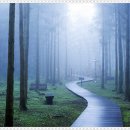 여의도의원 이미지