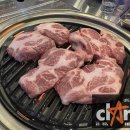 제일미트 이미지