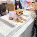 (주)메가덴탈 이미지