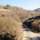 안기천로 이미지