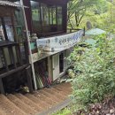 세심정 | 속리산 법주사 맛집 세심정 해물파전 막걸리 후기