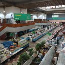 중앙아시아 카자흐스탄(Kazakhstan) 여행 2일차. 이미지