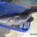 k3바다낚시터 이미지