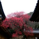 일레븐 당구장 이미지