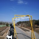 [마감] 12월 26일 (금) 문학 속으로 걷는 김유정 실레길 이미지