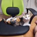 스카이오피스텔 이미지