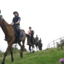 오케이승마장 이미지