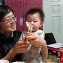 영은