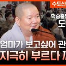 8살에 출가시킨 엄마를 / 대한불교조계종 덕숭총림 수덕사 주지 도신 스님 이미지