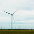 해안동백펜션 이미지