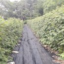 만인농장 이미지