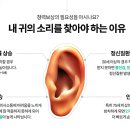 스타키보청기 광진센타 이미지